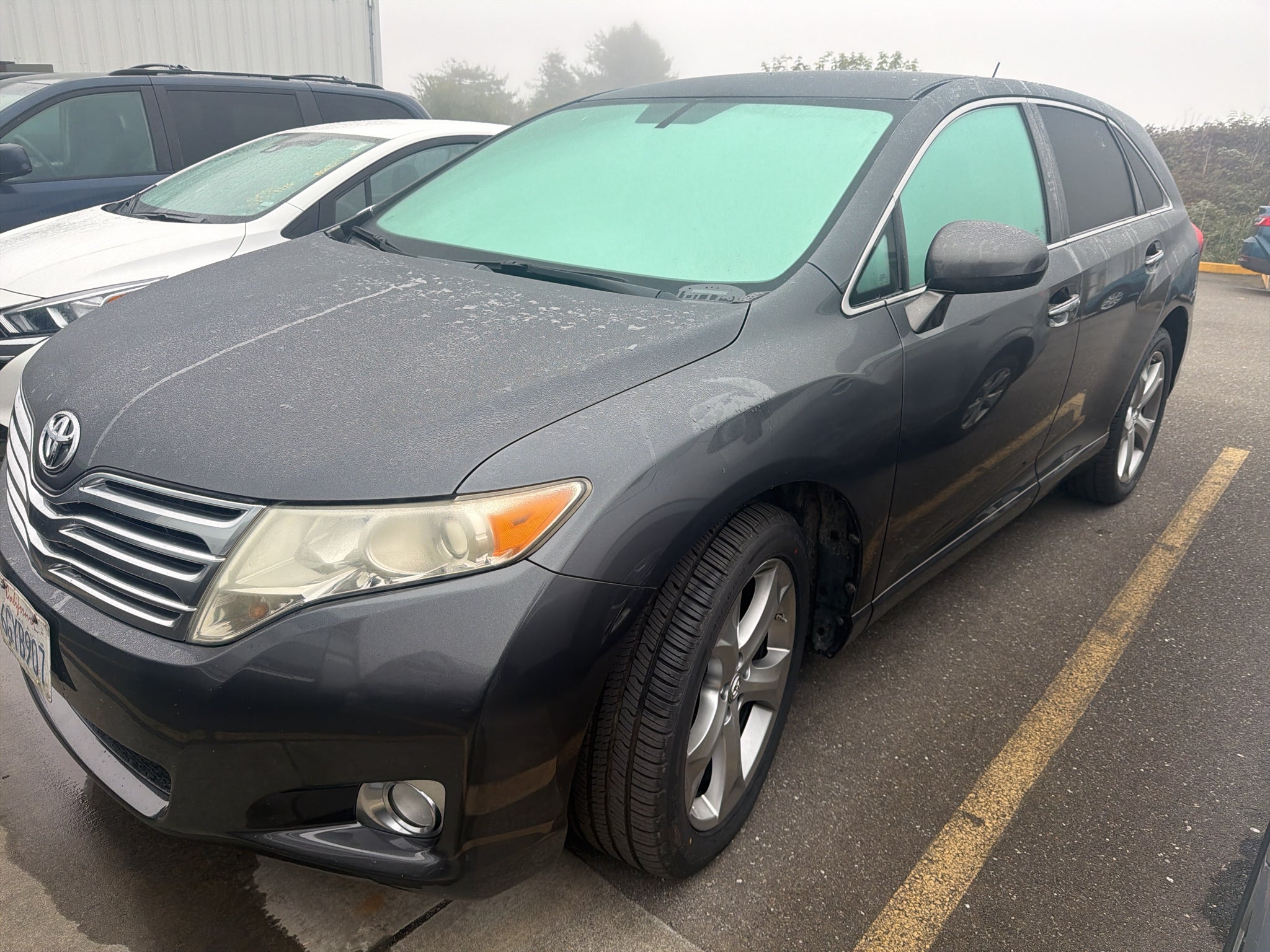 2009 Toyota Venza