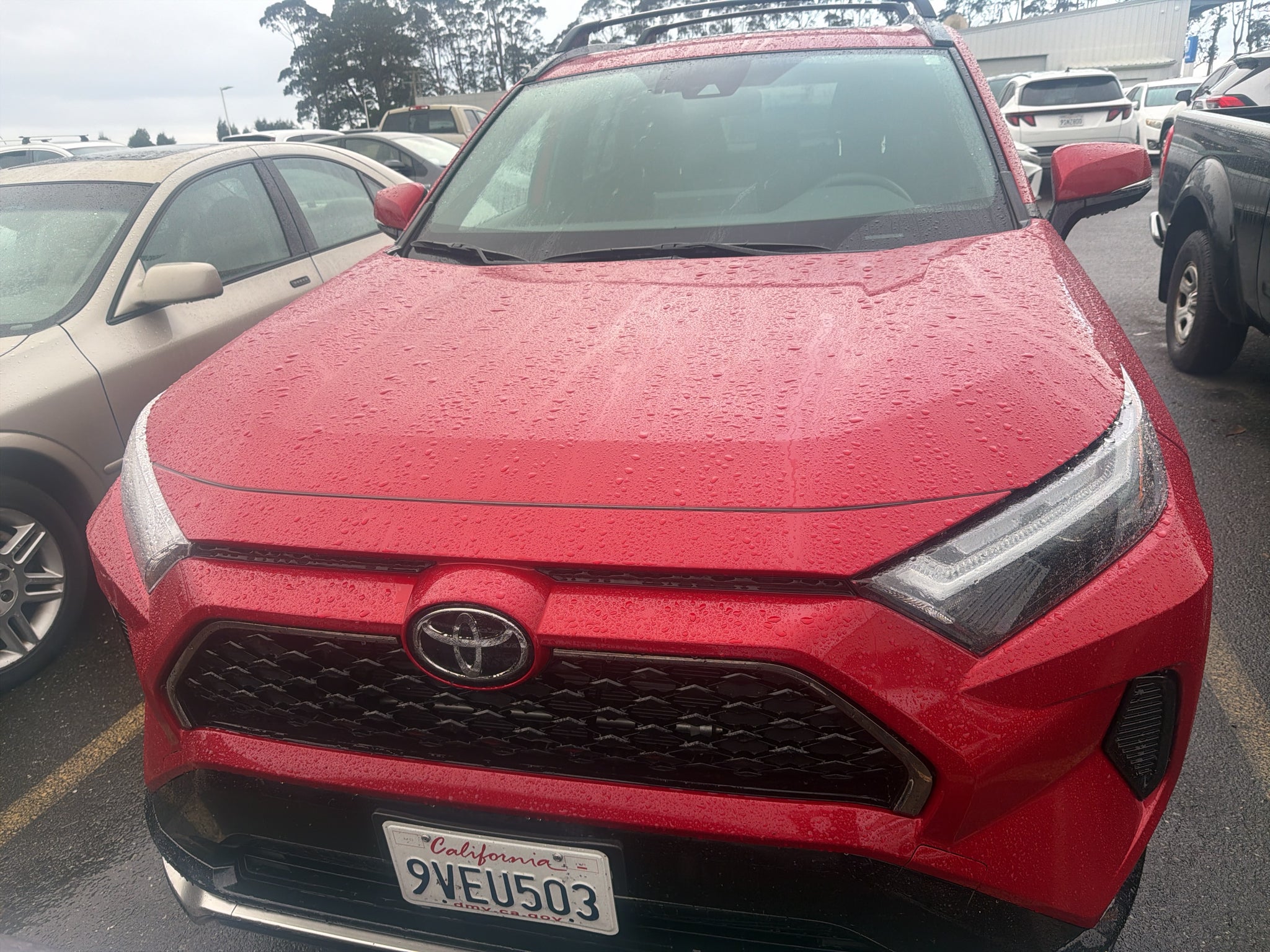2025 Toyota RAV4 Prime SE
