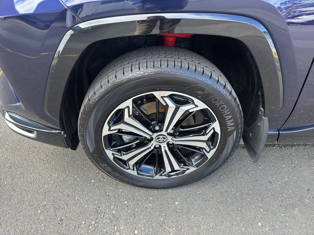 2025 Toyota RAV4 Prime XSE